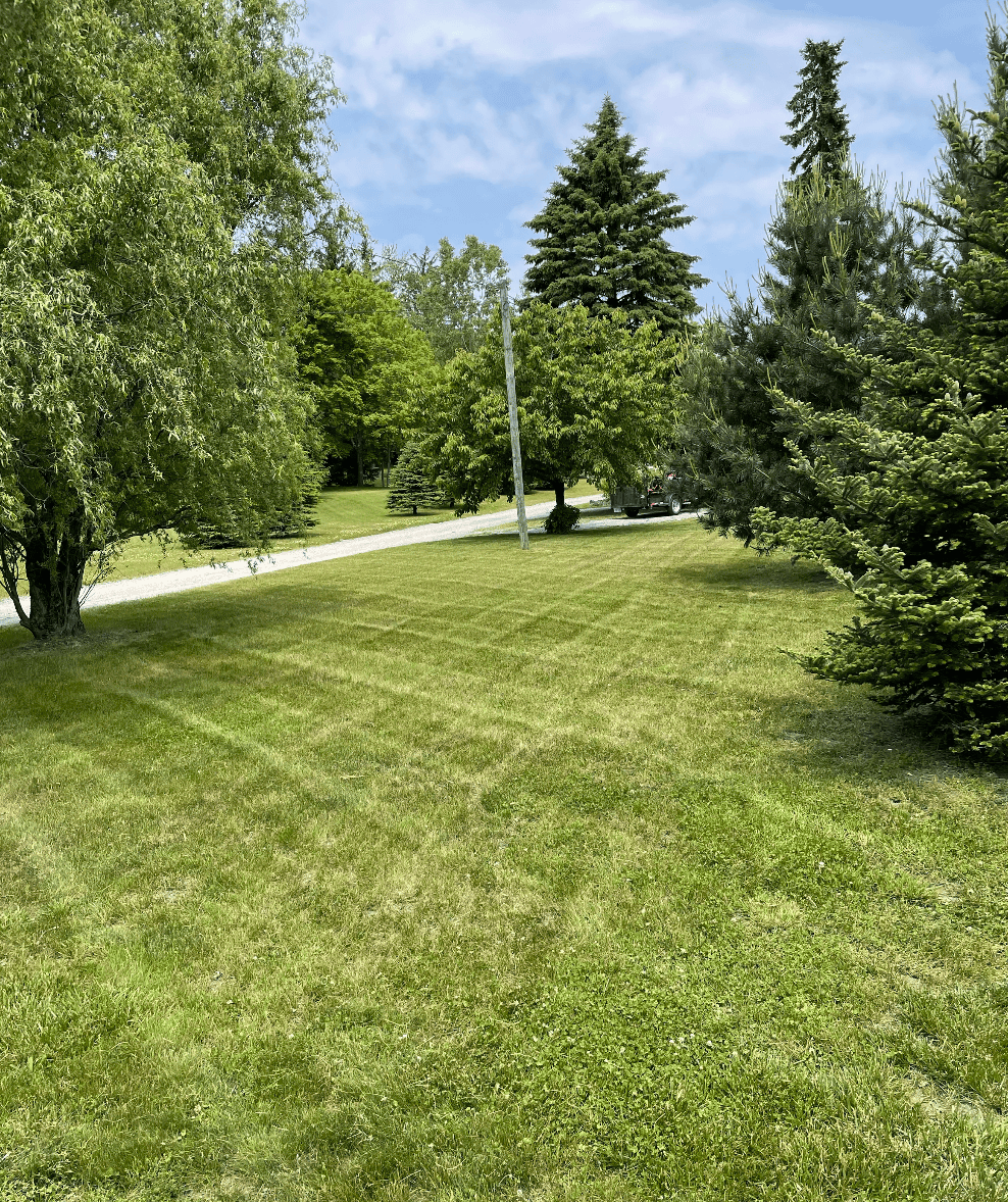 Screenshot 2025-06-14 at 10.29.16 PM